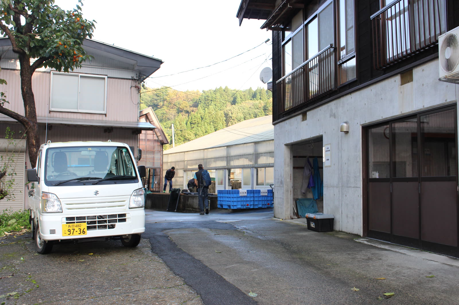 Premier éleveur visité: Kawakami