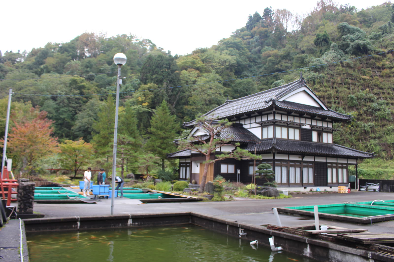 Yagenji Koi Farm
