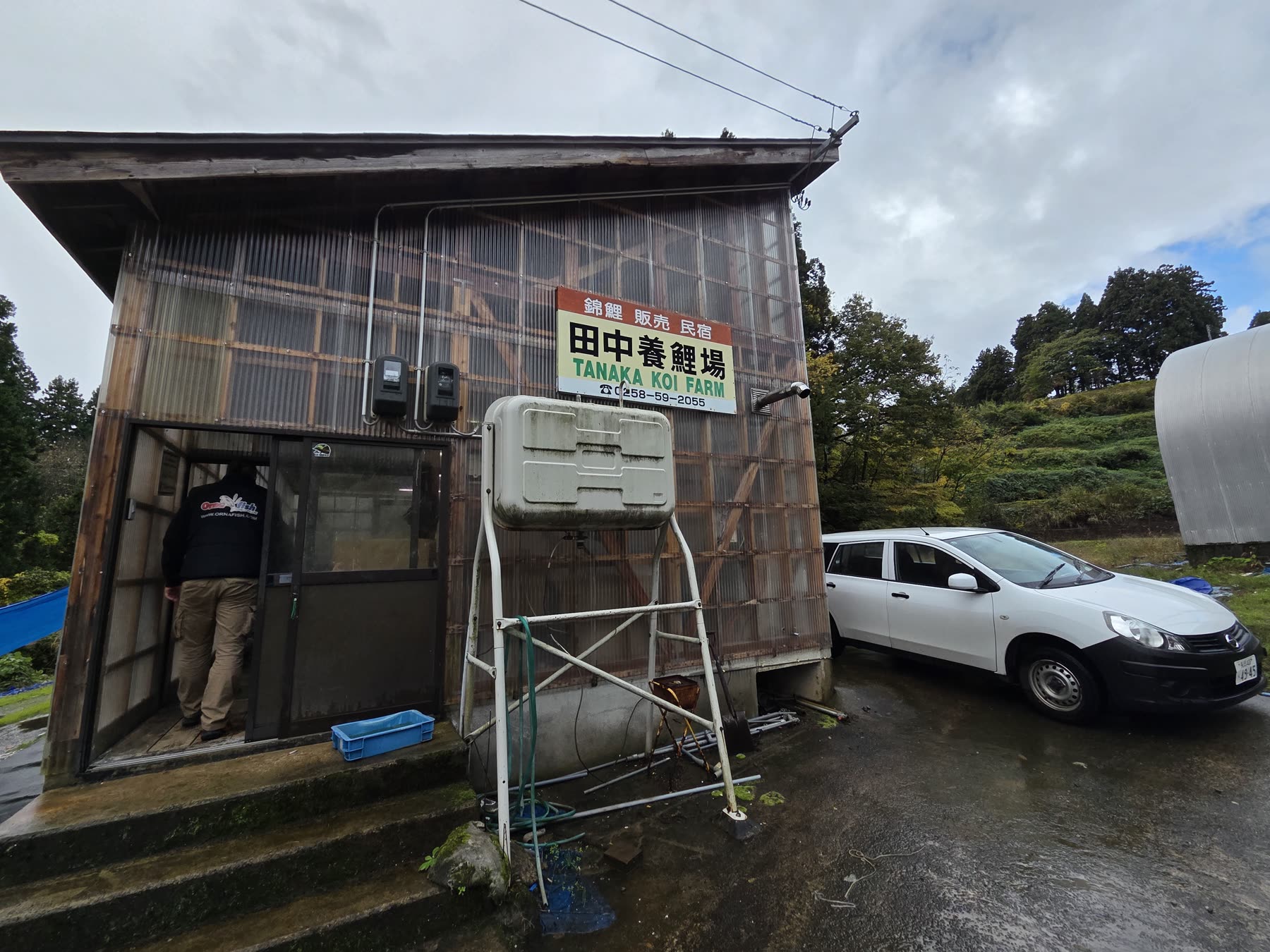 Tanaka Koi Farm, Ojiya