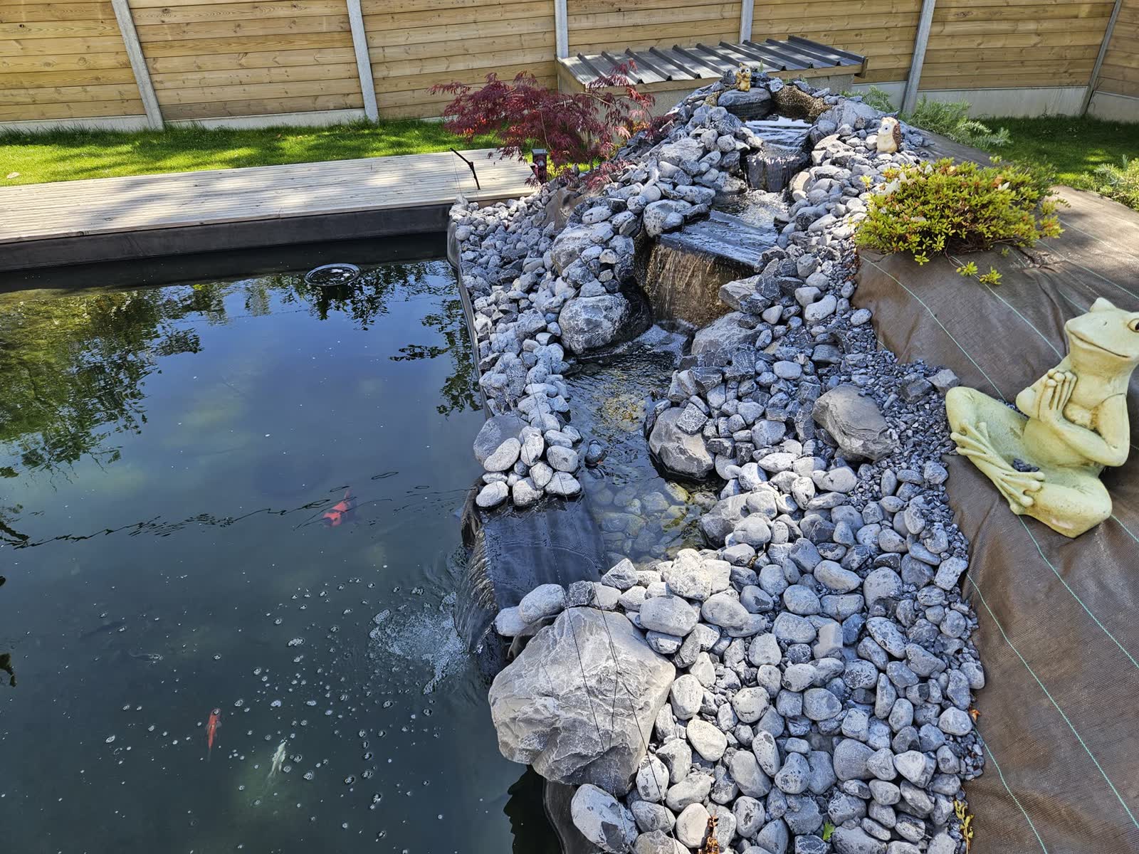 Bassin neuf vu depuis la terrasse: ruisseau de galets, koï dans l’eau claire, rochers — Bohars