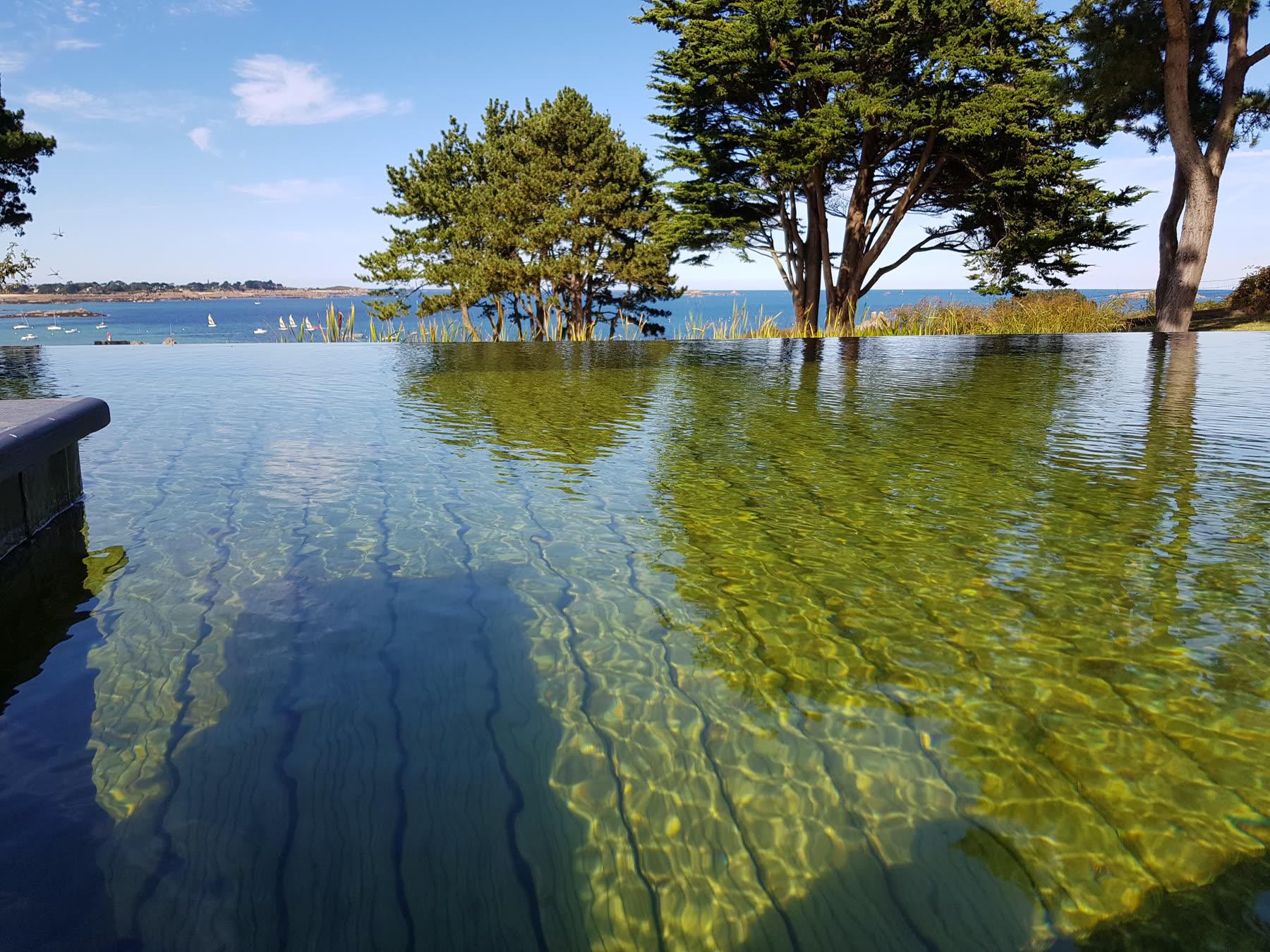 Baignade biologique à Carantec