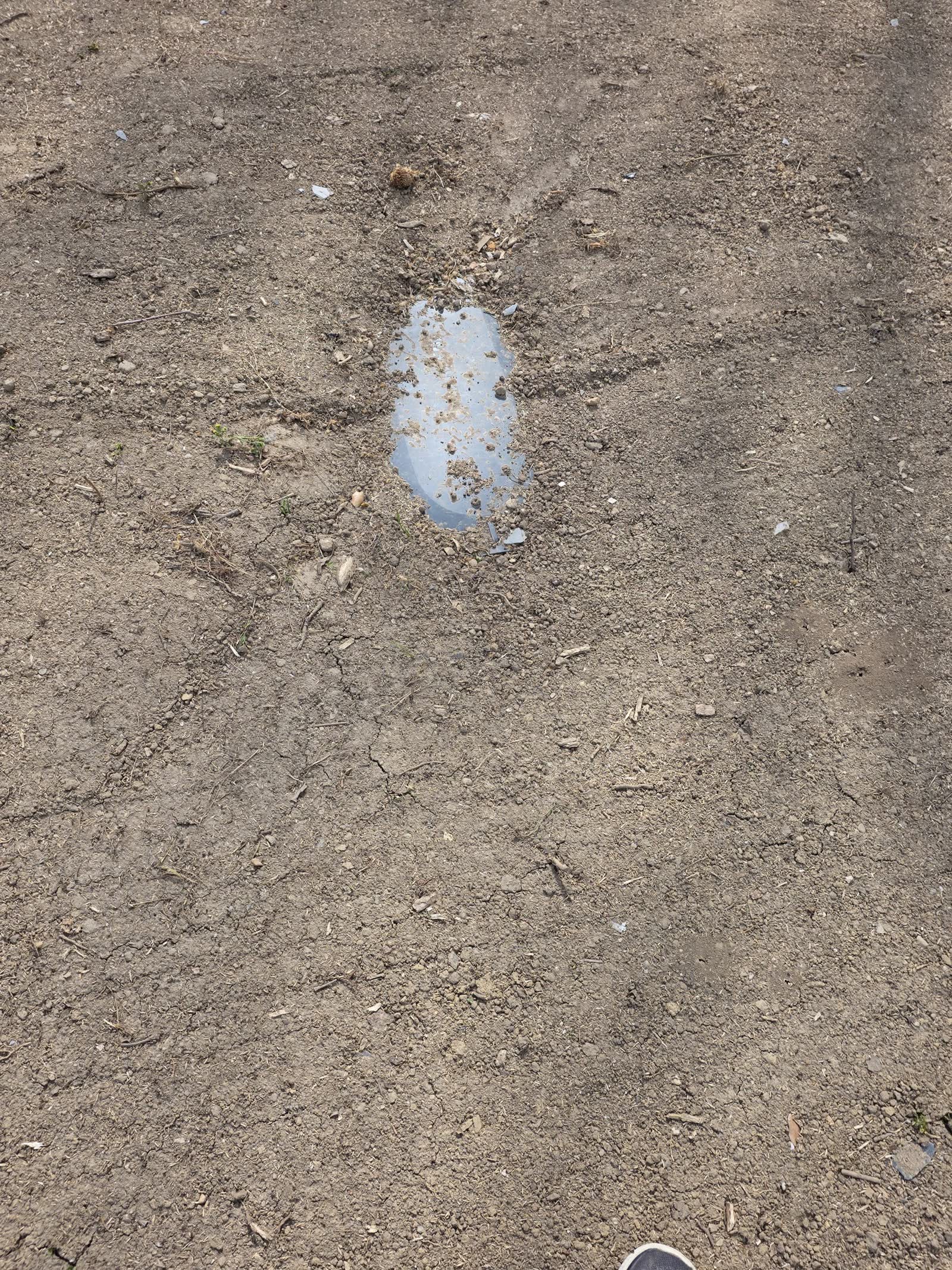 De la terre nue et sèche, un petit couvercle gris affleurant au milieu, le bout d’une chaussure en bas de l’image