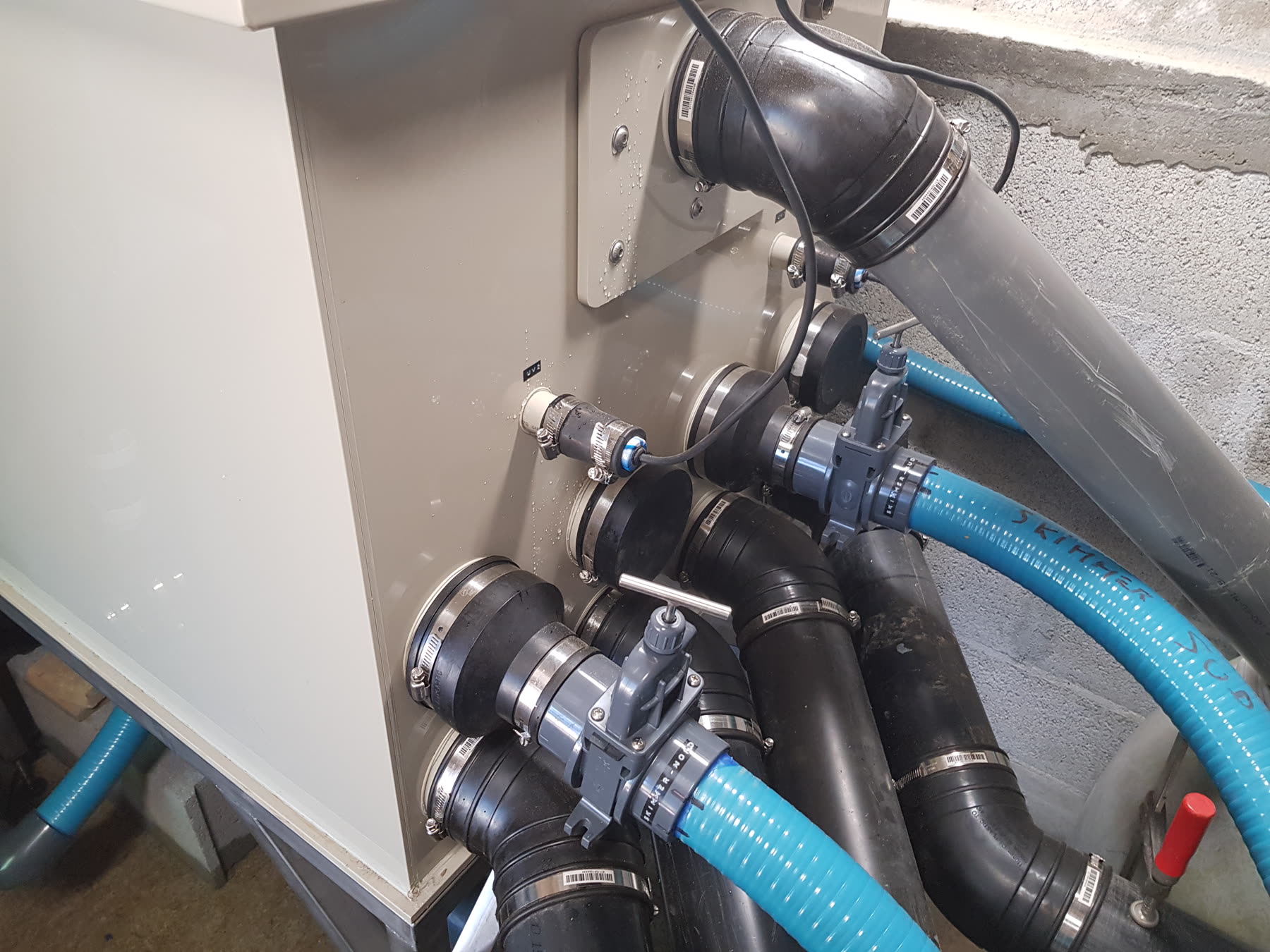 Le filtre dans le local technique: la cuve claire, ses vannes à poignée et les tuyaux souples bleus raccordés par des colliers inox