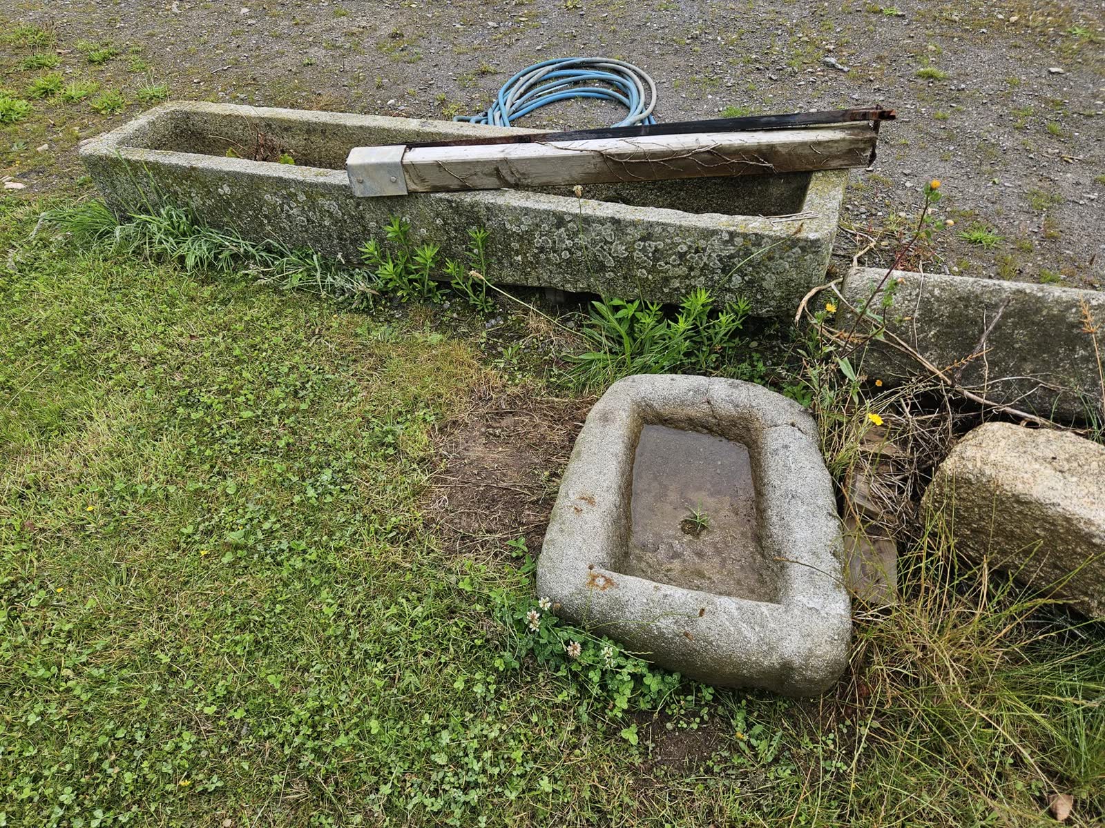 Deux auges en granit abandonnées dans l’herbe, un tuyau bleu enroulé dans la plus longue, une auge ronde plus petite devant