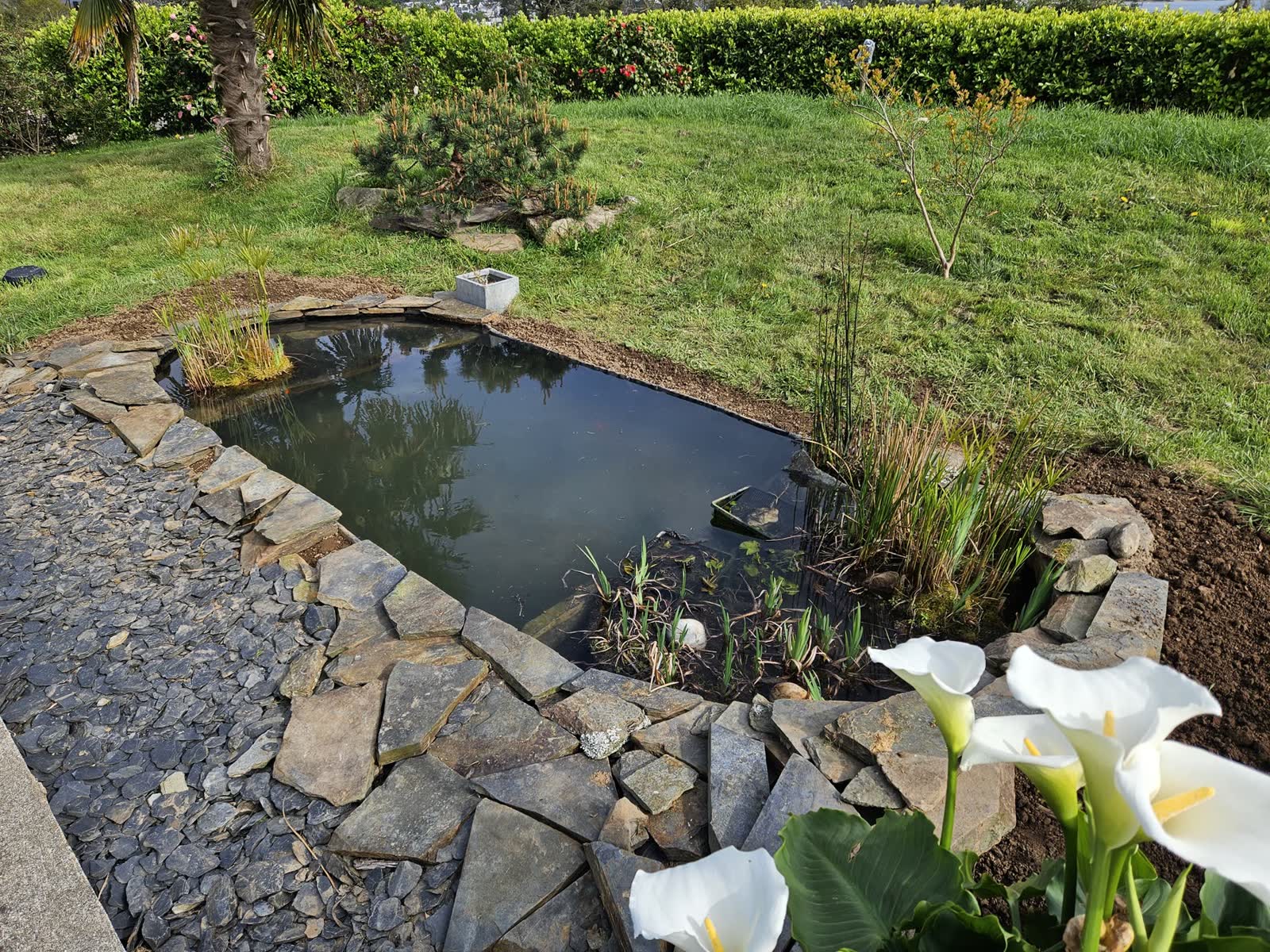 Rénovation de bassin à Guipavas