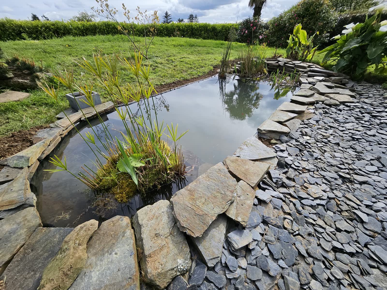 Le bassin remis en eau, berges d’ardoise reposées, plantes replantées
