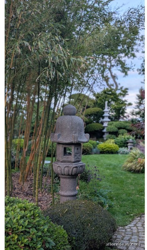 Lanterne Rikyu de pierre sombre, posée sur un tertre de mousse au bord d’une pelouse tondue, devant un bosquet de bambous