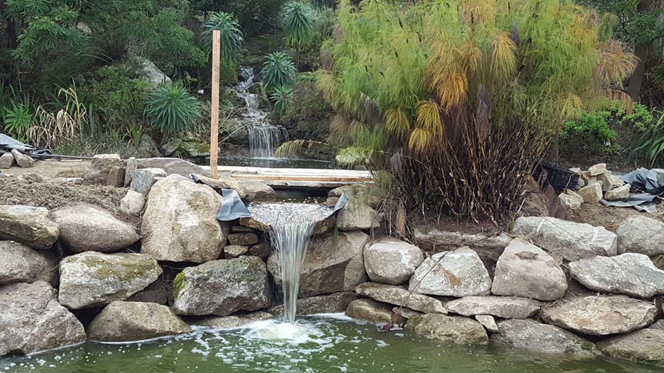 Cascade entre les rochers du Jardin Exotique de Roscoff, bassin en eau, papyrus